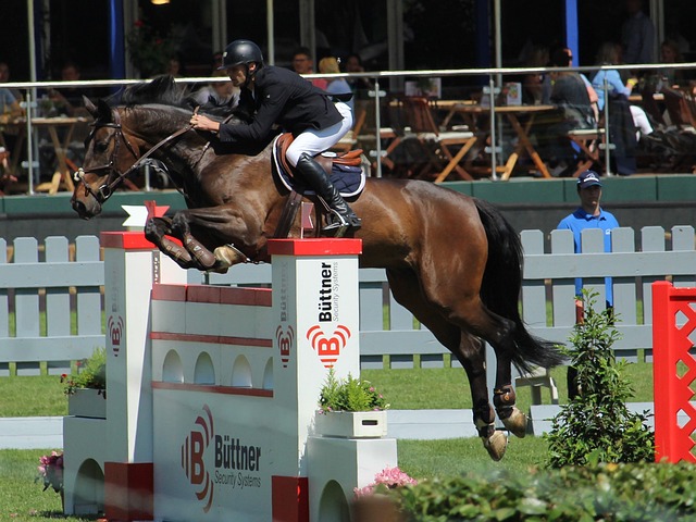 维尔贝克谈布莱顿0-7惨败森林：我曾在曼联1-6曼城时有过类似感受.